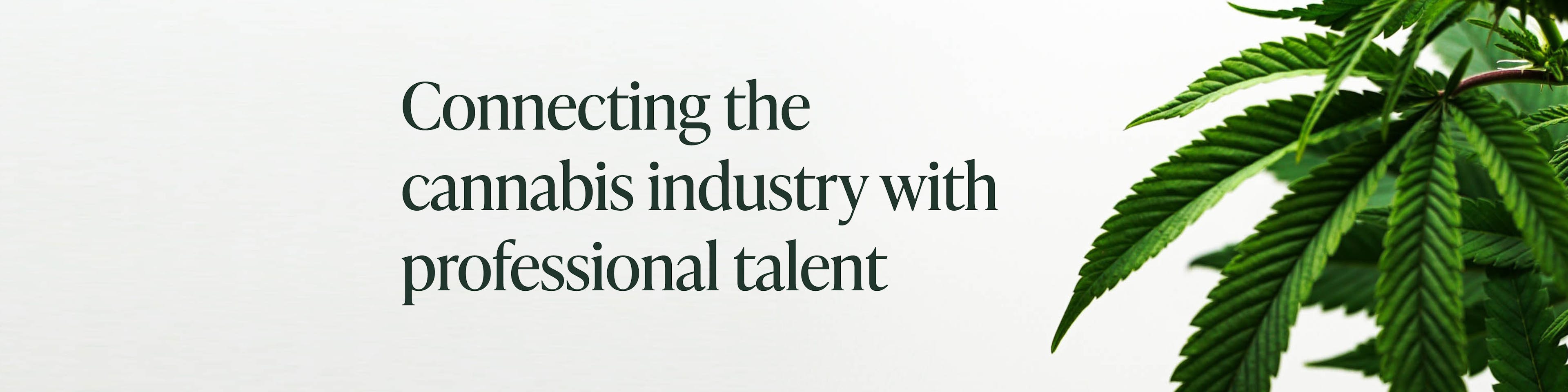 connecting the cannabis industry with professional talent